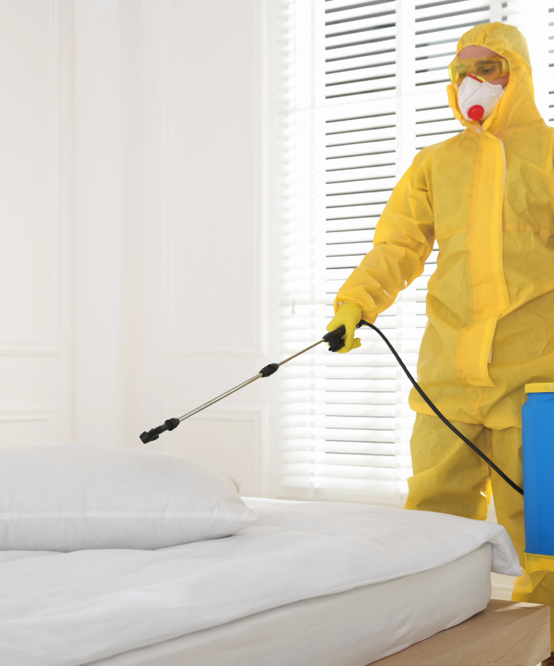 Professional Pest Control Team in Adelaide Airport